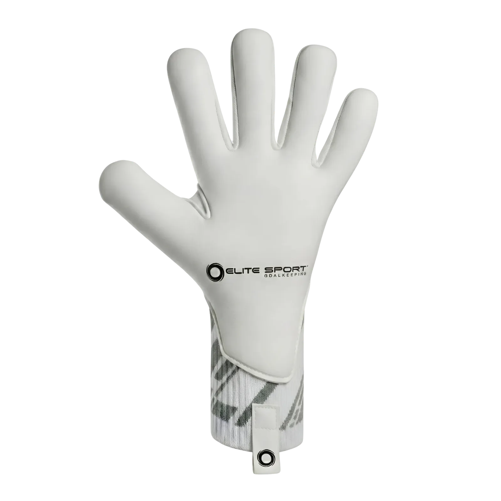 T1W Palm Extended